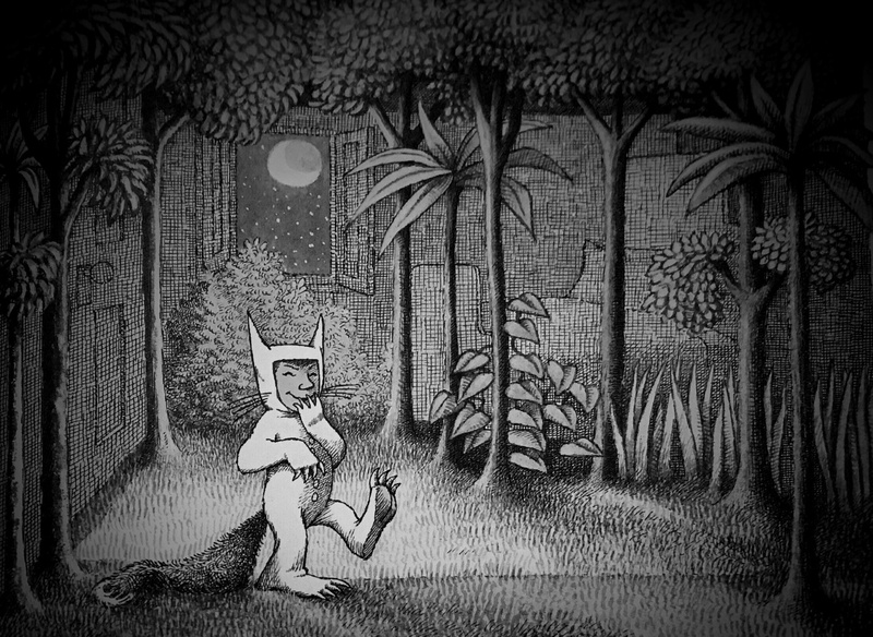 books, forest, where the wild things are, 1080P
