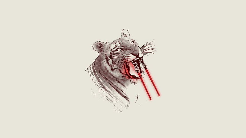 tiger, one animal, invertebrate, nature, insect, white background, indoors, animal body part, cut out, animal wildlife, copy space, close-up, animal head