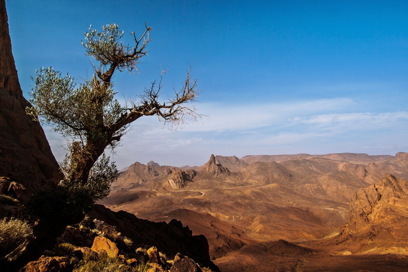 Landscape, Stone, Mountain, Tassili NAjjer, Earth, Africa, Hoggar Mountains, 1080P, Desert, Rock, Sahara, Algeria