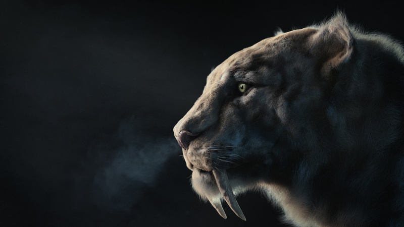 Manuel Peter, fangs, beast, 1080P, predator, art, sabertooth