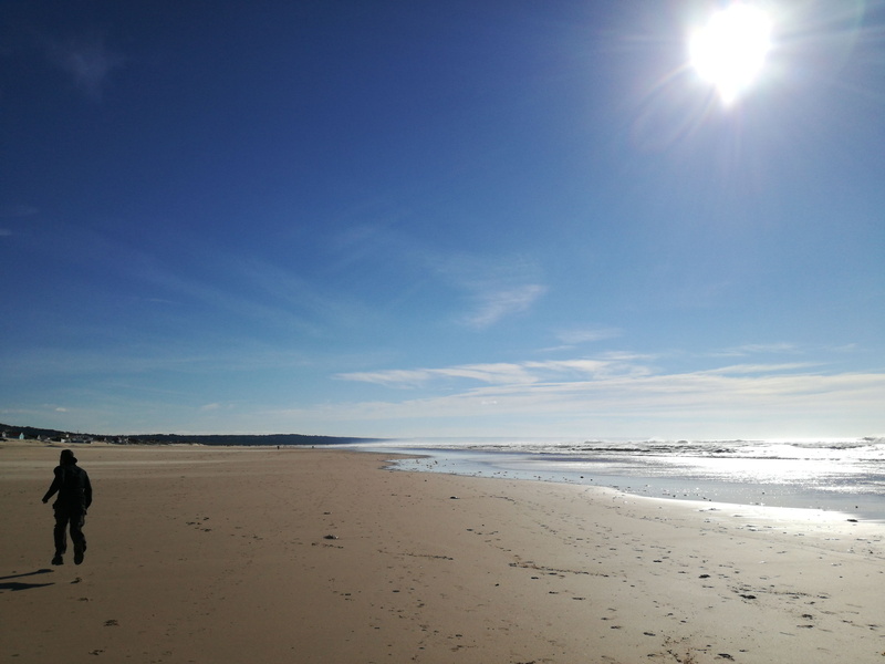 vacations, nature, lens flare, horizon over water, real people, horizon, tranquility, sunlight, bright, day, sand, scenics - nature, 4K, land, outdoors