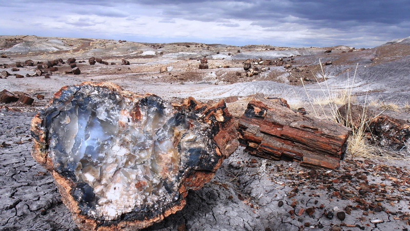 wood - material, industry, environment, nature, mining, log, fuel and power generation, petrified forest, arizona, brown, gray, stone, day, scenics - nature
