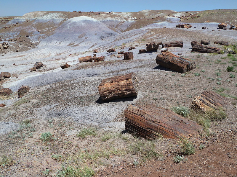 petrified, tranquility, sky, painted desert, petrified wood, high angle view, petrified forest national park, fossil wood, wood opal, field, arid climate