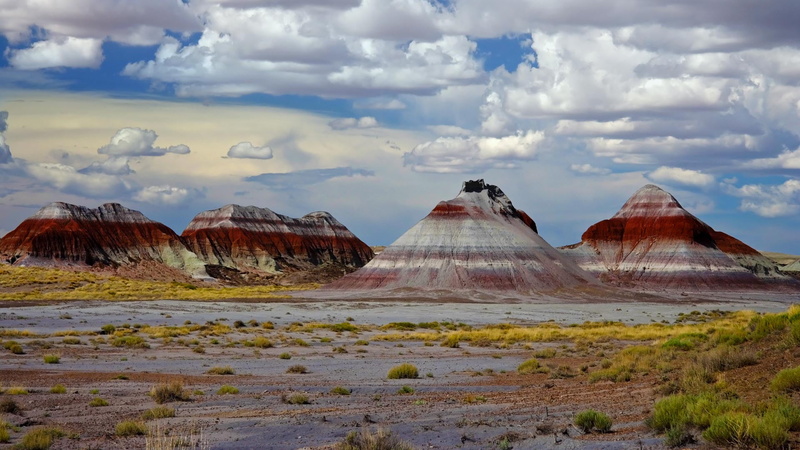 mountains, USA, Petrified Forest National Park, plants, 1080P, landscape, rocks, Arizona, nature, clouds