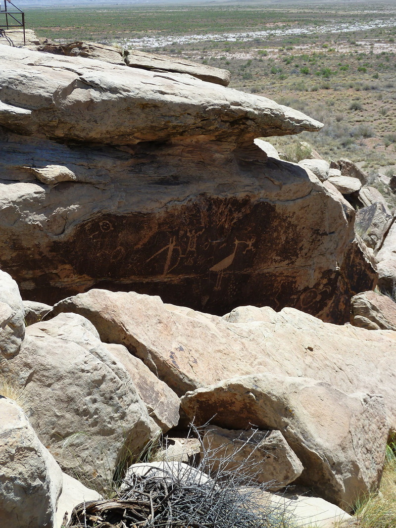 rock, land, tranquility, rock formation, park, national, scenics - nature, outdoors, forest, hot, tranquil scene, desert, petrified, 720P, Petrified Forest National Park