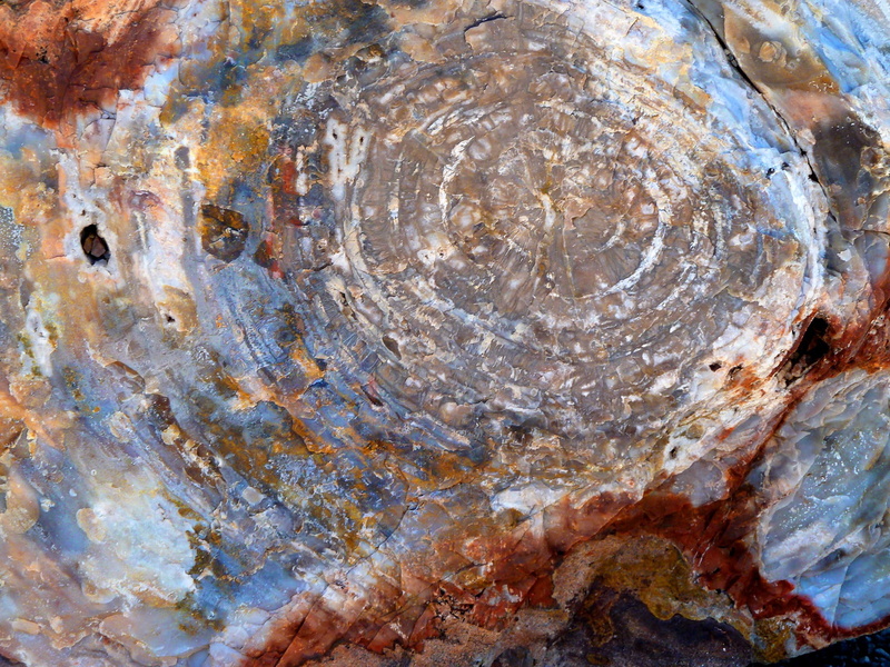 outdoors, arizona, Colorful, old, full frame, creativity, rock - object, wood opal, rough, ancient, weathered, backgrounds, day, 720P, no people, trunk