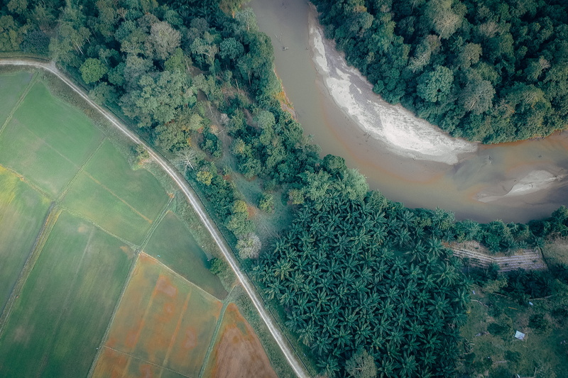 nature photography, 4K, drone footage, crops, transportation, green, aerial, aerial view, flow, scenery, aerial photography, colors, above, country, green color