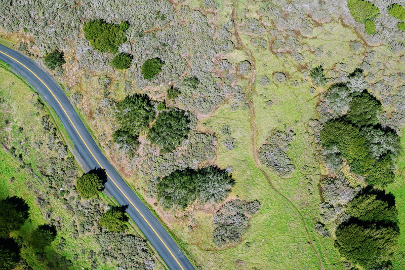 geography, tranquil scene, from above, tranquility, no people, day, pavement, 4K, drone cam, retro, green color, top view, soil, tree, outdoors, surface
