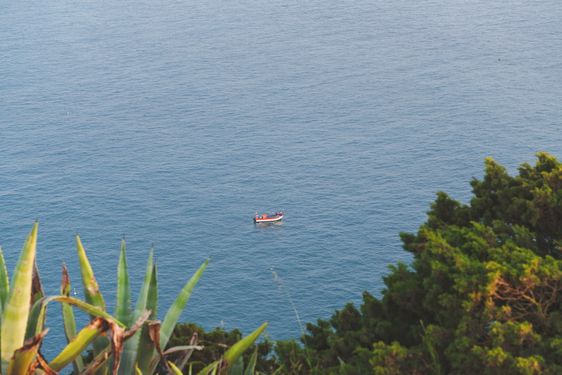 tree, nautical vessel, 5K, sea, nazaré, high angle view, tranquil scene, growth, inflatable, beauty in nature, water, scenics - nature, outdoors, no people