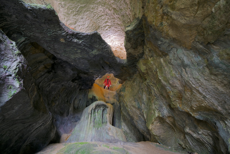 low angle view, tranquility, eroded, cave, rough, calcite, geology, 5K, nature, rock - object, karst, cavity, outdoors, day, rock, plant, textured, no people
