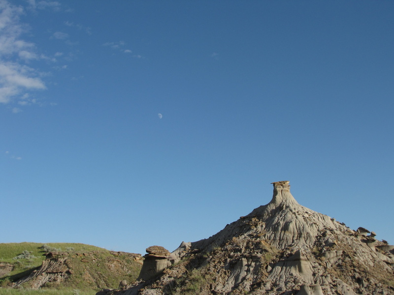 Landscape, canada, beauty in nature, dinosaur, clear sky, scenics, Fossils, Badlands, non-urban scene, alberta, hoodo, travel destinations, outdoors, no people