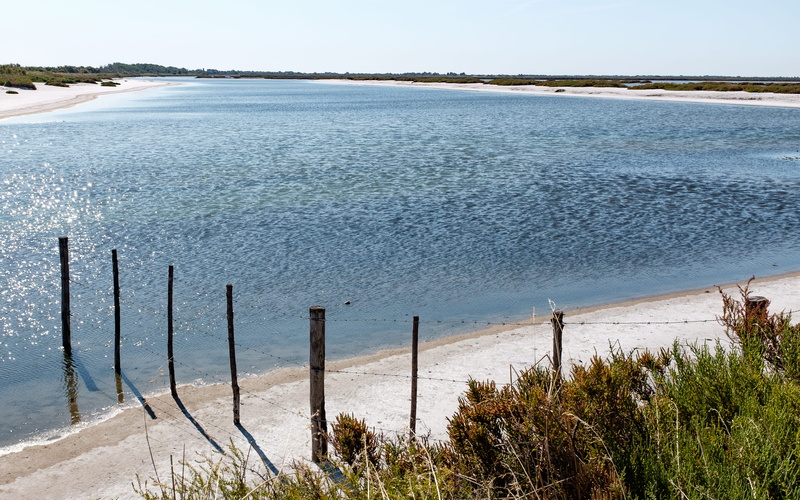 salt, outdoors, fence, land, beach, nature, post, beauty in nature, wooden post, lake, high angle view, barrier, salin de giraud, sea, sky, francia, arles