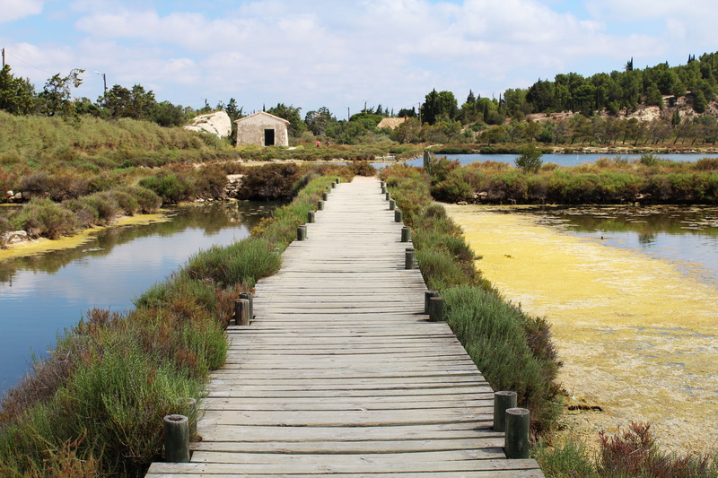 passage, plant, stilt, outdoors, france, built structure, wooden bridge, direction, river, sky, path, lake, salins, summer, connection, water, hiking, grass