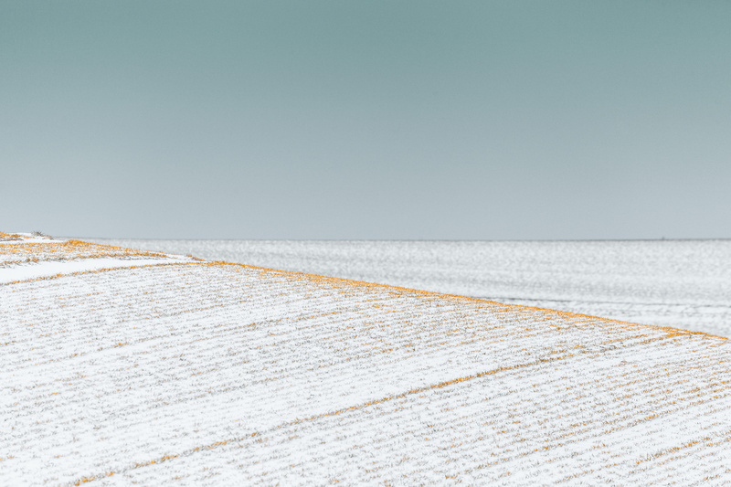 sunlight, two color, winter, rural Scene, saline Drip, sea, blue, white, land, cold - Temperature, yellow, flat, sand Dune, dry, outdoors, nature, agriculture