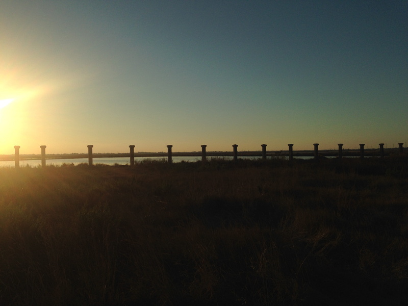 nature, cervia, land, mare, beauty in nature, italy, no people, outdoors, non-urban scene, tranquility, grass, built structure, sunset, landscape, sunshine