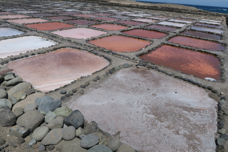 nature, beauty in nature, landscape, sea water salt, tranquil scene, rural scene, saline, day, 5K, sea salt, no people, tranquility, outdoors, salt, salt flat
