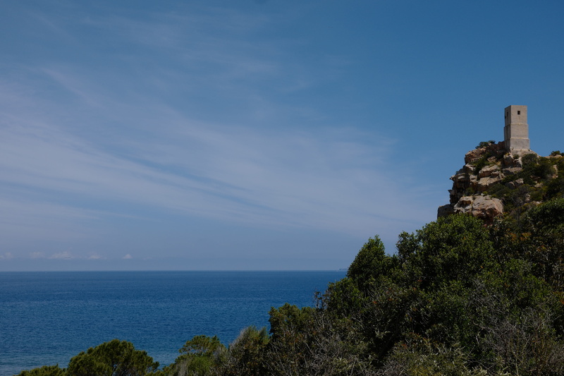 blue, torre delle saline, east coast, scenics - nature, architecture, sea, building exterior, day, growth, water, sky, tower, built structure, rock, beauty in nature