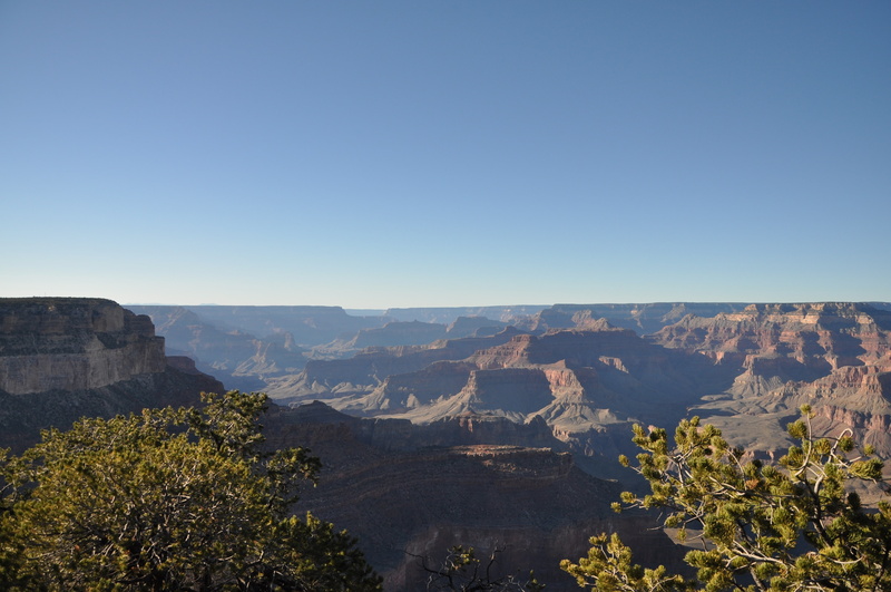 non-urban scene, beauty in nature, sky, mountain, tree, travel destinations, eroded, sunlight, Grand Canyon, outdoors, nature, scenics - nature, tranquil scene