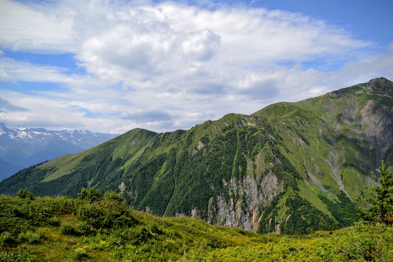 green color, growth, plant, mountain peak, mountain, outdoors, mestia, non-urban scene, landscape, remote, 2K, no people, scenics - nature, idyllic, beauty in nature