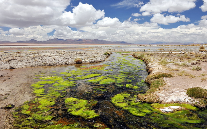green, green color, beauty In Nature, 720P, geology, summer, blue, famous Place, tranquility, mud, geyser, cloud - Sky, plant, rock - Object, mineral