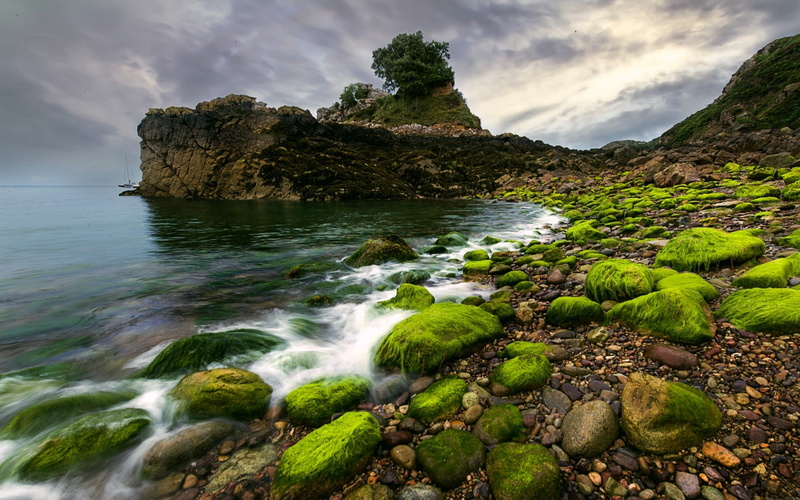 1080P, rock - object, water, sky, outdoors, scenics - nature, plant, idyllic, beauty in nature, cliff, non-urban scene, clouds, beach, moss, waves, coast