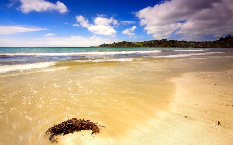coastline, travel Destinations, no People, 2K, summer, vacations, waters Edge, horizon Over Water, beach, beauty In Nature, tranquil Scene, tourism, day