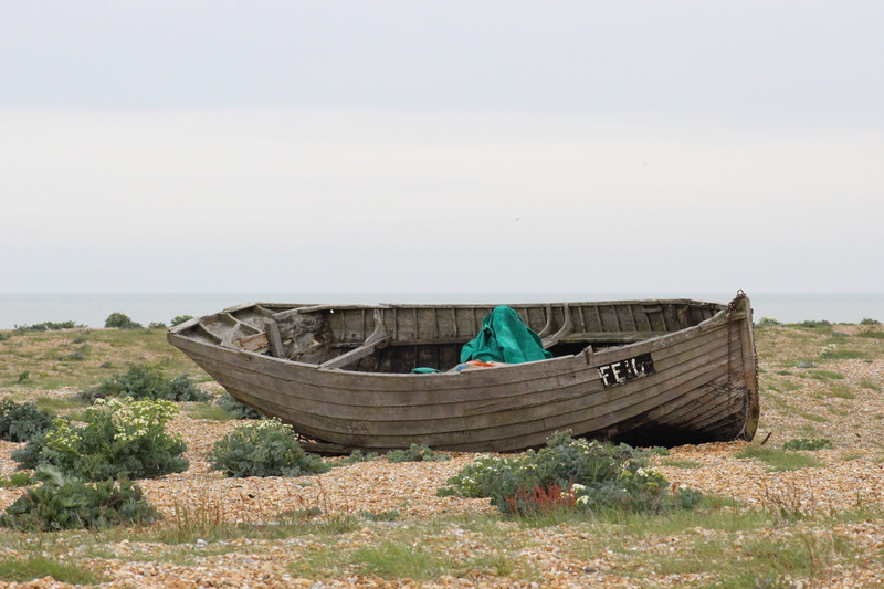 old boat, landscape, abandoned, non-urban scene, dungeness, clear sky, plant, nature, beauty in nature, water, mode of transportation, old, tranquility