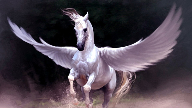 Fantasy Animals, Pegasus, Horse, 1080P, Fantasy