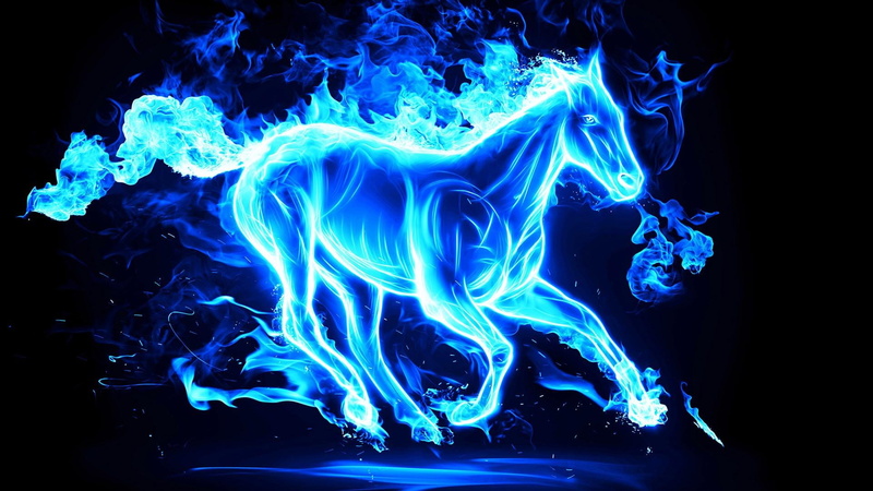 complexity, motion, pegasus, no people, luminosity, studio shot, neon, digital art, water, multi colored, nature, indoors, turquoise colored, shape, glowing
