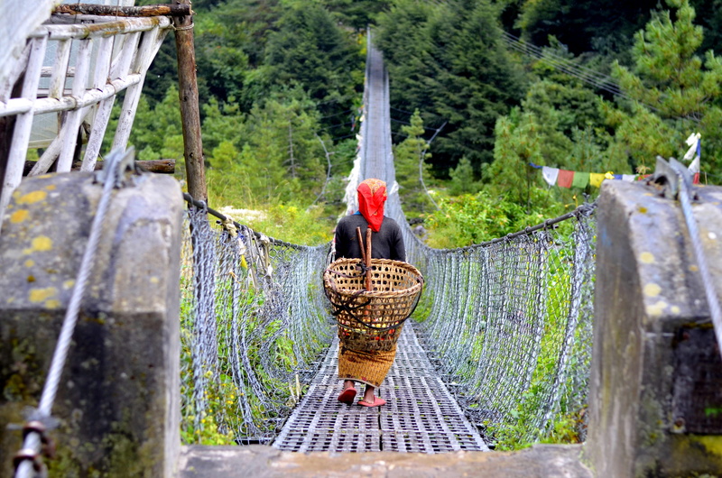4K, bird, architecture, focus on background, green color, woman, trekking, built structure, outdoors, day, land, container, vertebrate, no people, animal themes