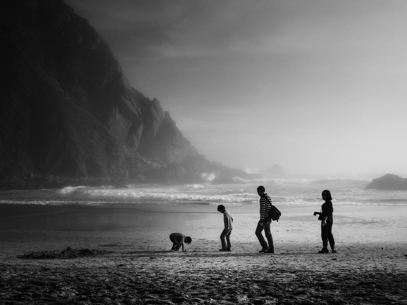 water, scenics - nature, sea, leisure activity, four, outdoors, 8K, grayscale, ocean, lifestyles, land, nature, human, photo, pet, shoreline, sky, togetherness