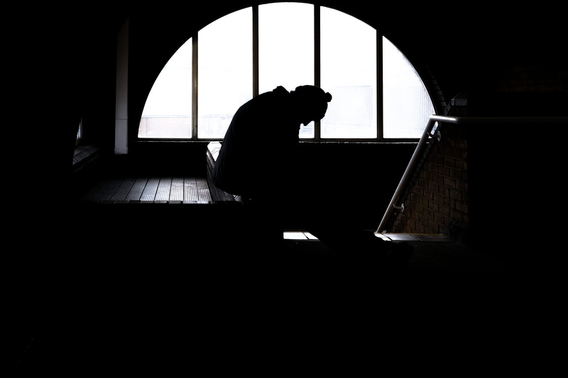 full length, domestic animals, silhouette, animal, one person, window, dog, architecture, musician, vertebrate, day, leisure activities, porthole, pianist