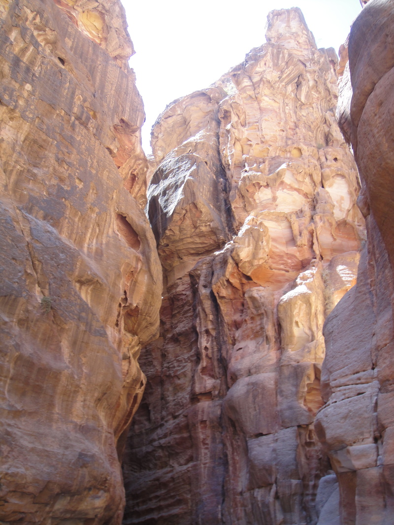 nabataeans, rock - object, canyon, wadi mussa, eroded, low angle view, mountain, cliff, no people, geology, environment, rock formation, non-urban scene