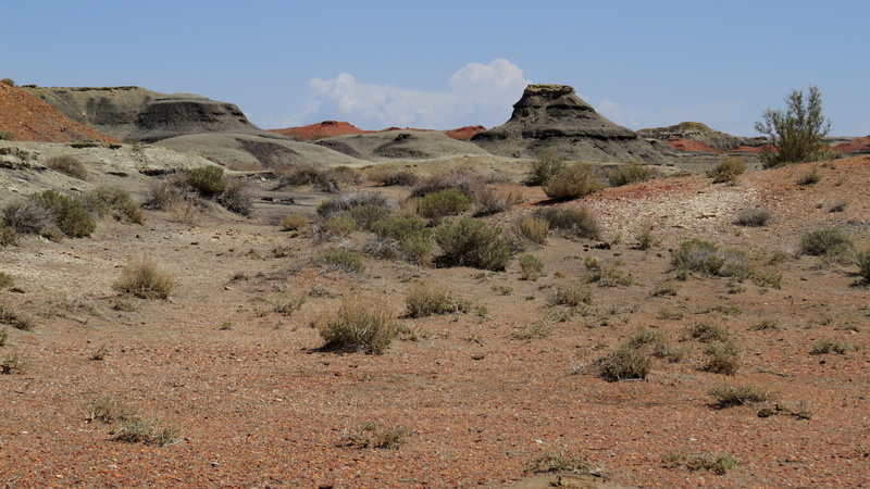 4K, eroded, tree, non-urban scene, new, solid, beauty in nature, no people, bisti, scenics - nature, climate, landscape, desert, semi-arid, wilderness