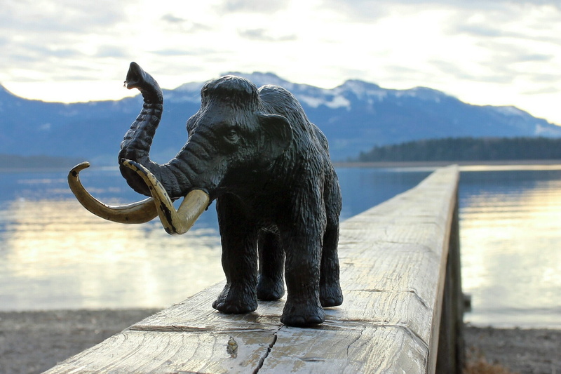 ruesseltier, mountain, tusks, cloud - sky, pachyderm, 1080P, figure, herbivores, Ivory, large, water, animal representation, art and craft, one animal