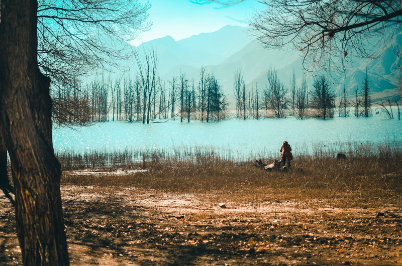 winter, tree, real people, beauty in nature, laguna, tranquility, tranquil scene, mendoza, land, leisure activity, 4K, potrerillos dam, cold temperature