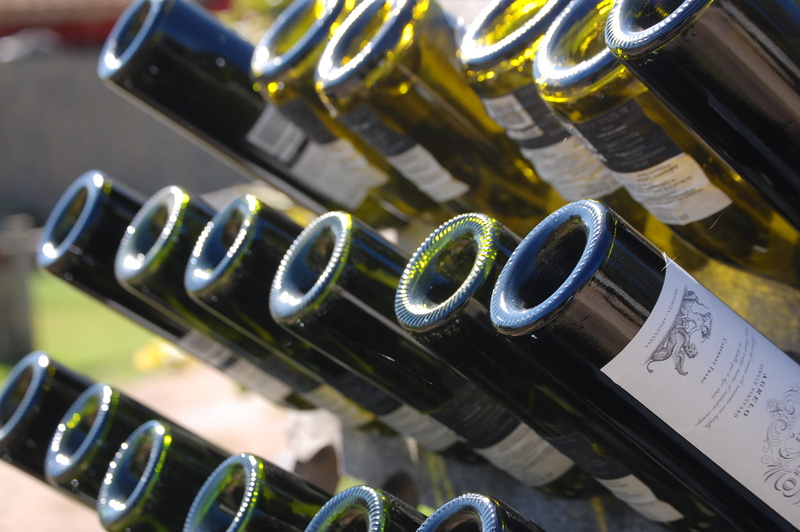 2K, retail, high angle view, vineyard, green color, mendoza, day, connection, no people, number, communication, focus on foreground, argentina, wine, selective focus