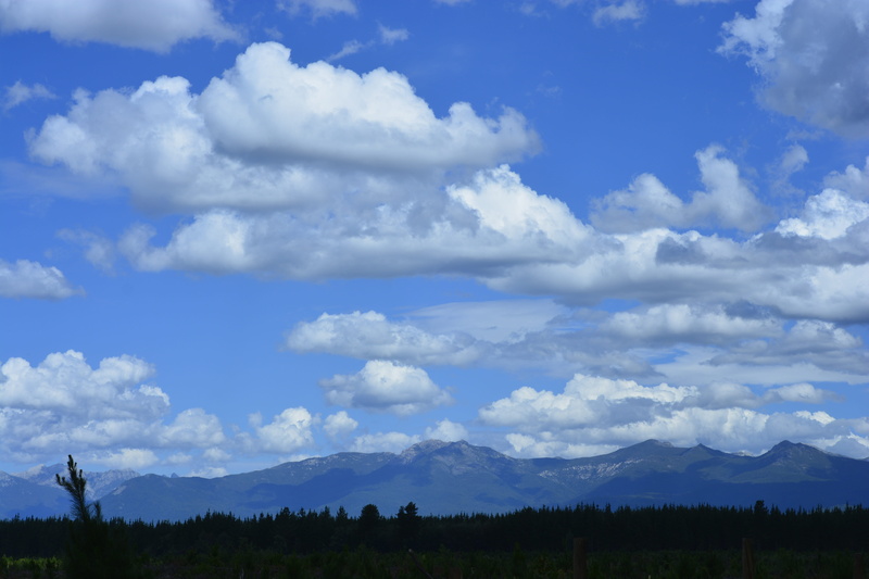 outdoors, non-urban scene, day, tree, mountain, beauty in nature, landscape, land, cordillera, nature, cloud - sky, clouds, sky, blue, environment, no people