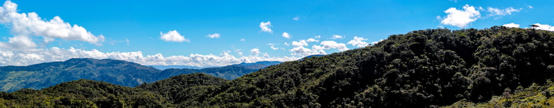 landscape, tree, cordilleras, beauty in nature, oriental, no people, environment, rock, panoramic, mountain range, nature, cloud - sky, colombia, 8K, midday