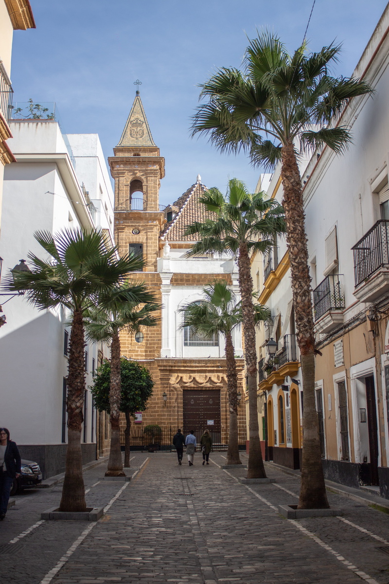 day, belief, 5K, city, outdoors, palms, spirituality, tropical climate, people, holiday, palm tree, real people, building, cadiz, walking, palm, built structure