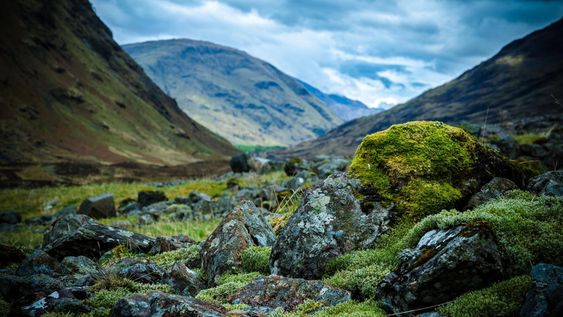macro focus, nature and landscapes, scottish, macro, mountains, highls, valley, rocks, focus, 1080P