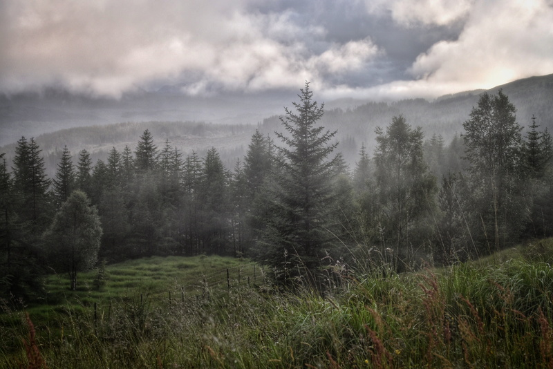highl;ands, 4K, nature, environment, non-urban scene, cloud - sky, sky, scotland, grass, evergreen tree, united kingdom, beauty in nature, mountain, plant