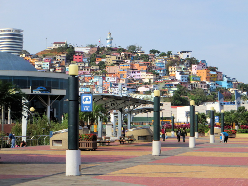 connection, sky, town, Historic District, architecture, crowd, mode of transportation, residential district, nature, tree, cityscape, guyayaquil, stadium