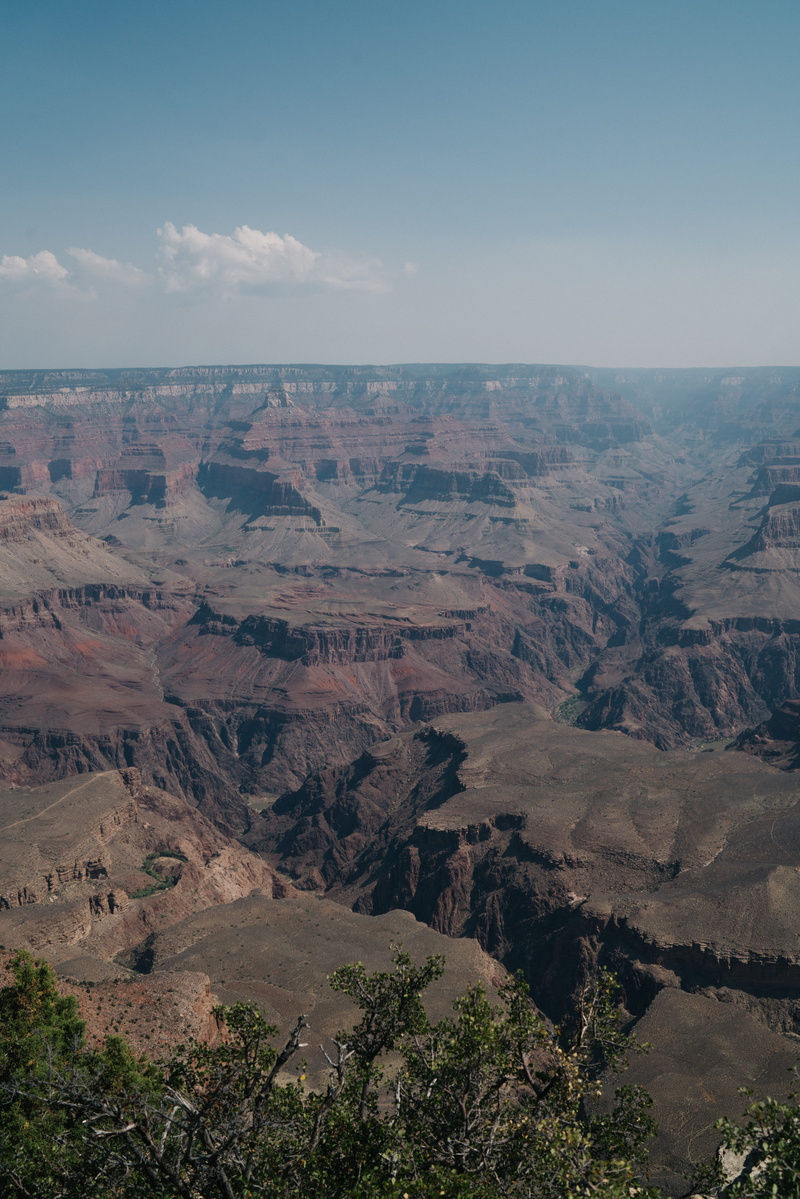 idyllic, tranquility, non-urban scene, no people, day, physical geography, tree, grand canyon village, south rim trail, plant, cloud - sky, united states