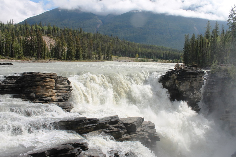 Forest, Nature, River, Athabasca Falls, 1080P, Canada, Rock, Waterfalls, Jasper National Park, Waterfall