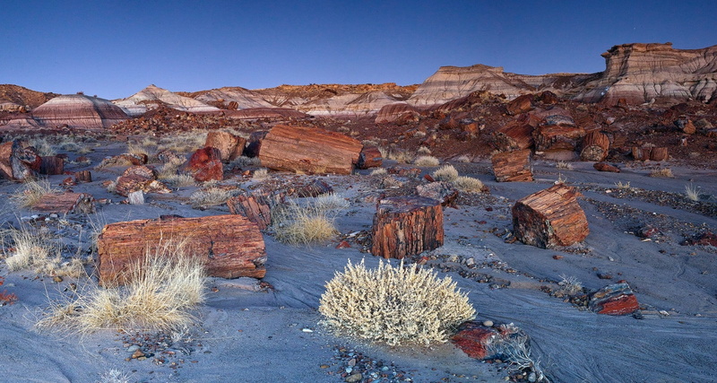 1080P, landscape, clear sky, scenic, scenics - nature, solid, beauty in nature, plant, no people, environment, arizona, sky, rock - object, rock, semi-arid