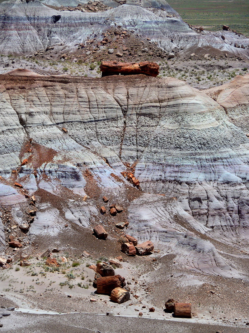 fossil wood, wood opal, petrified, desert, rock formation, mountain, climate, eroded, 720P, painted desert, day, silicified wood, tranquil scene, arizona