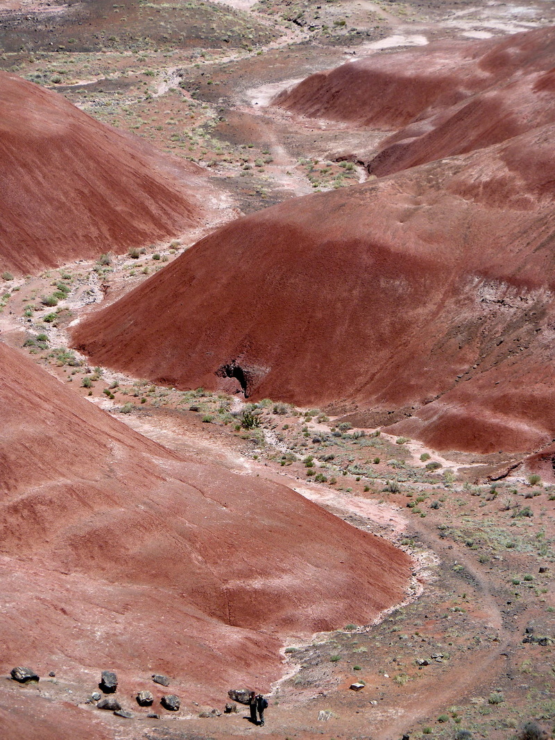 720P, day, tranquility, physical geography, forest, petrified, mining, non-urban scene, eroded, arizona, arid climate, beauty in nature, travel, environment