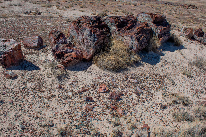 4K, rock formation, solid, rock, beauty in nature, petrified trees, eroded, geology, tranquility, arizona, rock - object, high angle view, sand, non-urban scene