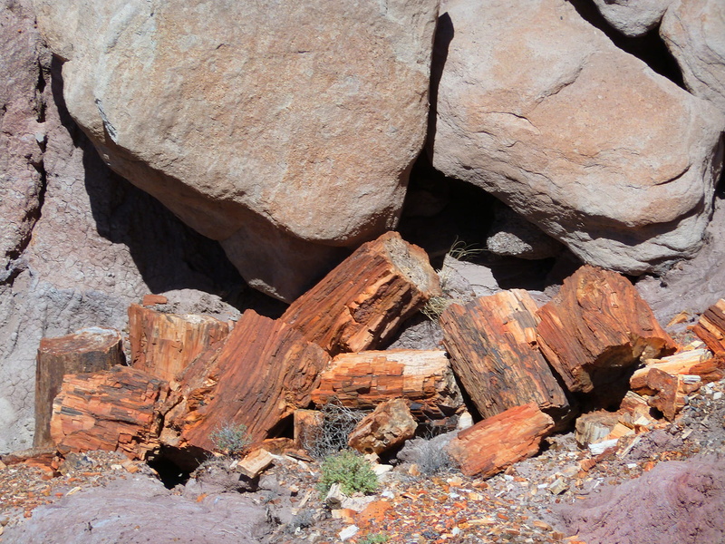 geology, solid, textured, rock formation, rock - object, petrified forest national park, rough, dry, rock, tranquility, hot, usa, beauty in nature, desert